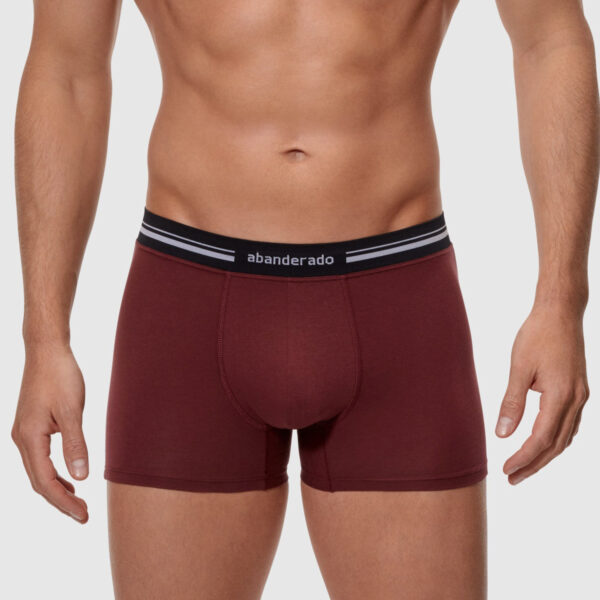 Calzoncillo boxer abanderado. Ref 77L