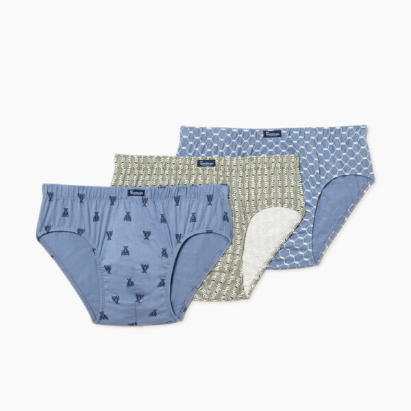 Calzoncillo slip abanderado. Ref 80B - Imagen 4
